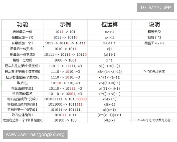 PK10预测专家推荐的实用技巧与策略助你在比赛中稳操胜券