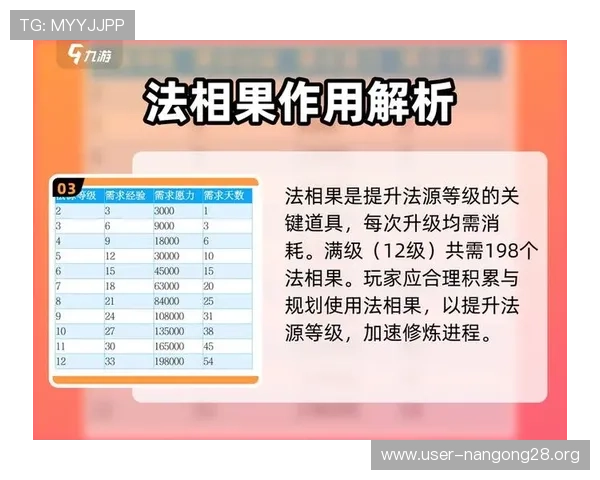 南宫旗下旺财28最新攻略详解助你轻松掌握游戏技巧提升战力