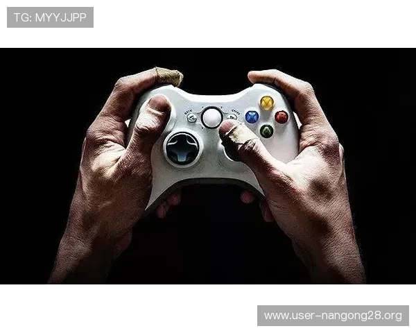 如何选择优质的ng电子娱乐平台保障您的游戏体验与资金安全